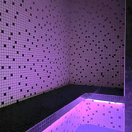 Rezidence & Wellness Blatov 4* Praga