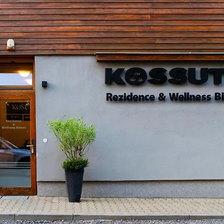Rezidence & Wellness Blatov 4* Прага